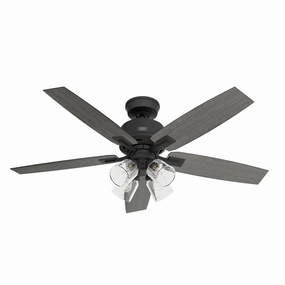 Gatlinburg 52"Ceiling Fan Matte Black home fans with built-in timer settings