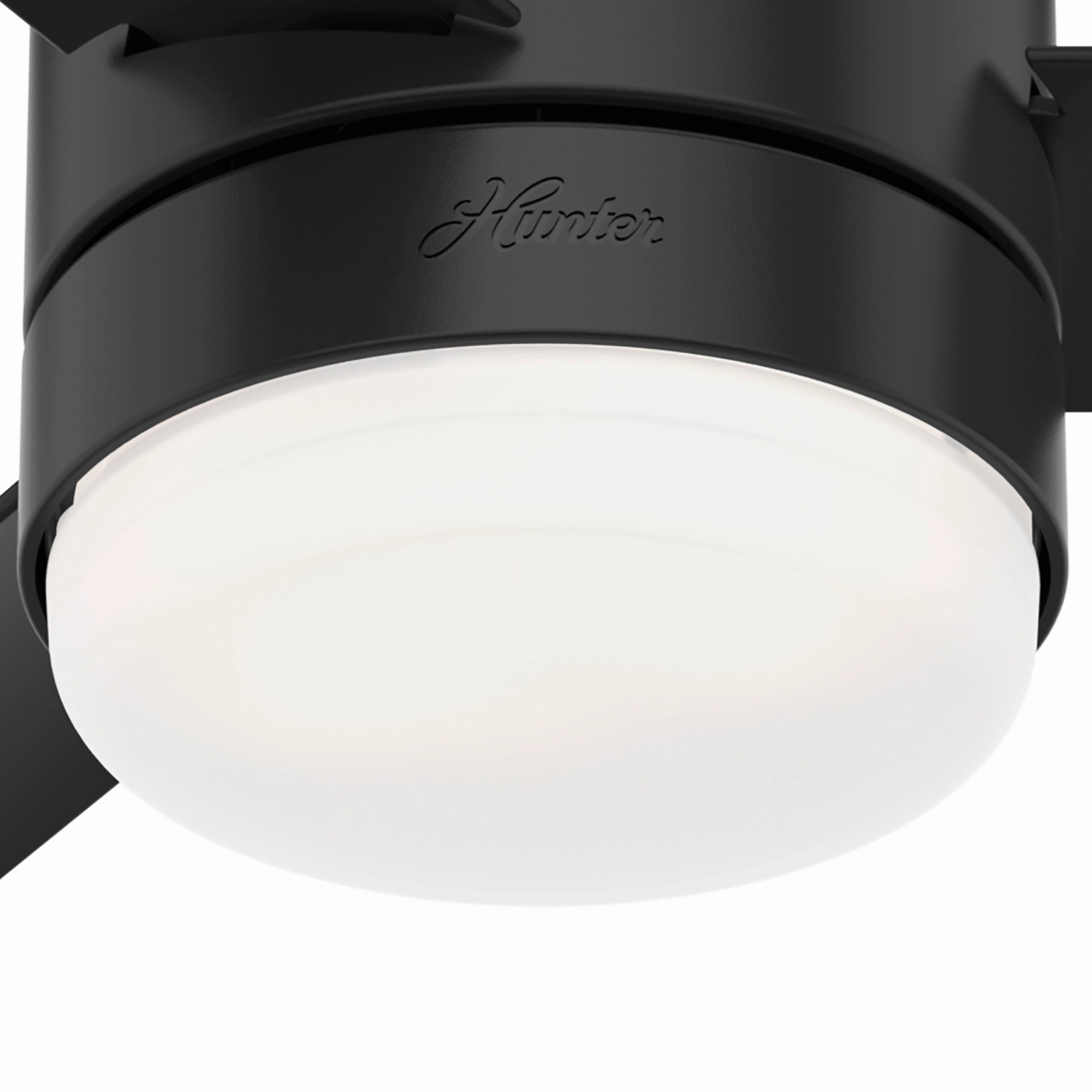 Gilmour 44"Ceiling Fan Matte Black