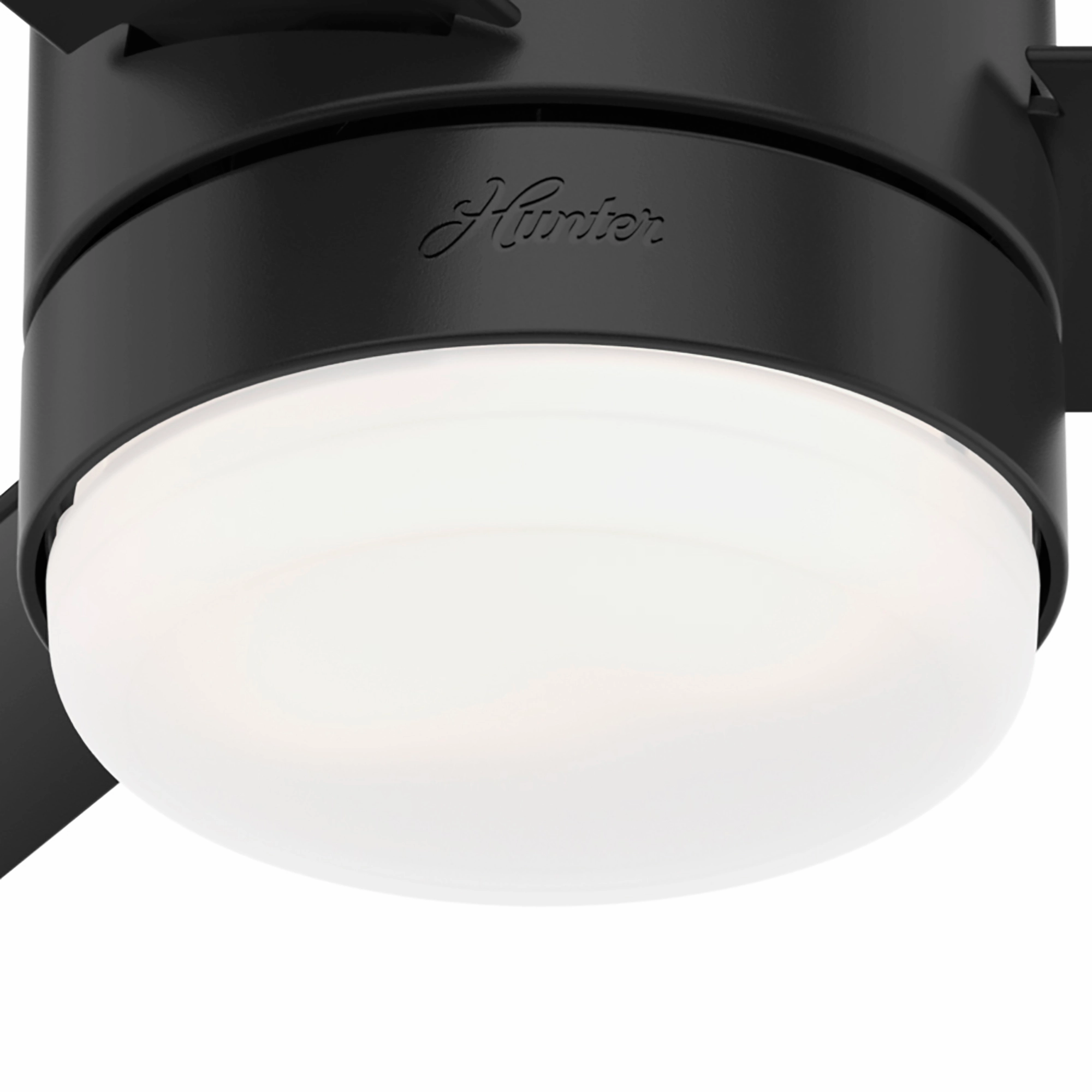 Gilmour 44"Ceiling Fan Matte Black