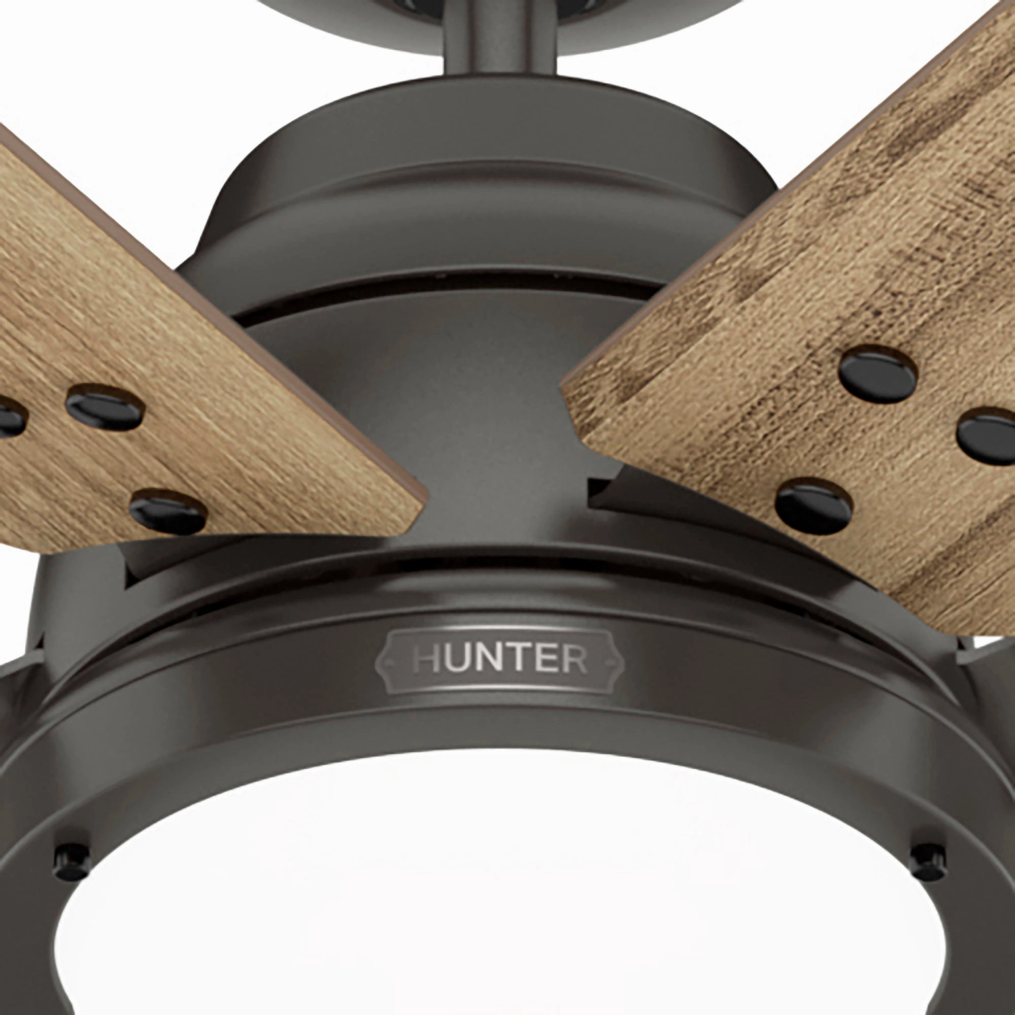 Gravity 60"Ceiling Fan Noble Bronze