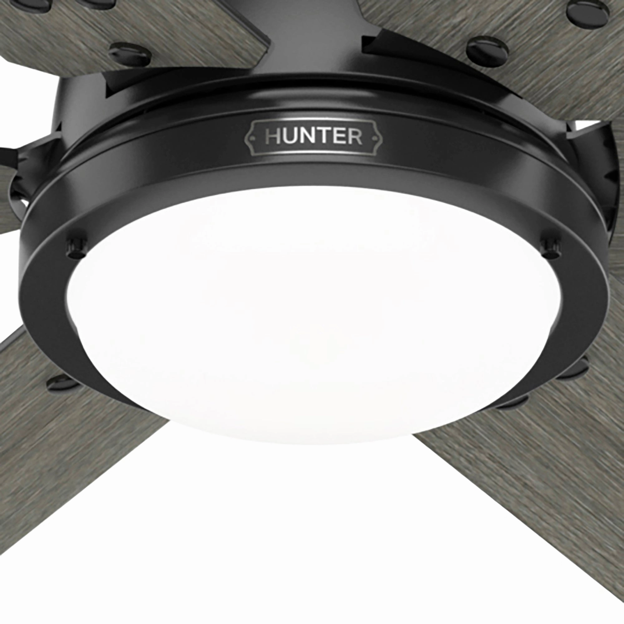 Gravity 72"Ceiling Fan Matte Black