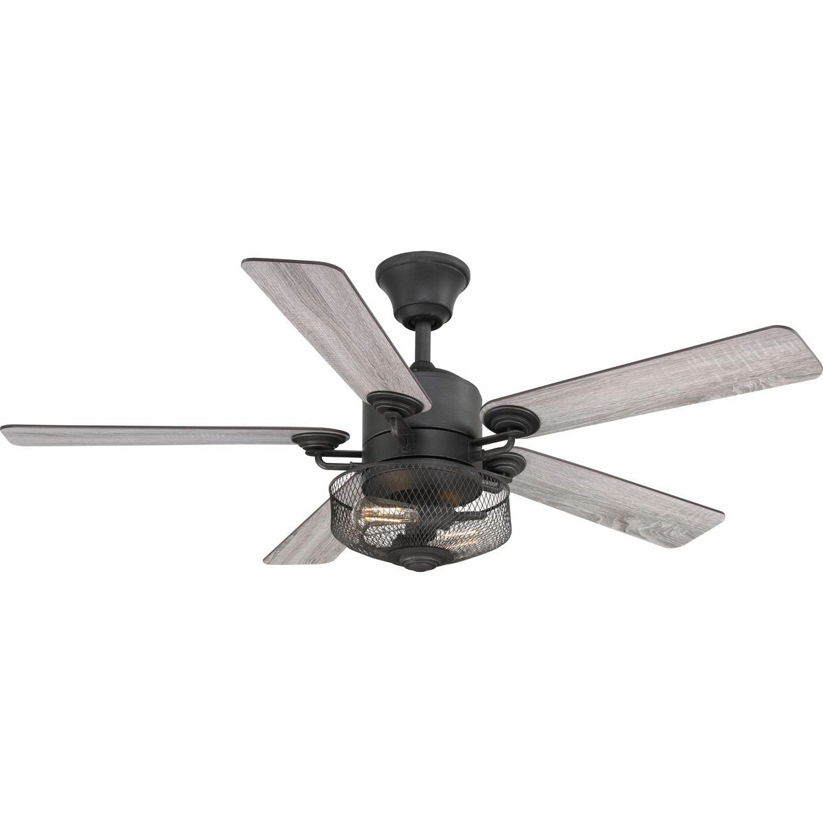 Greer 54"Ceiling Fan Gilded Iron