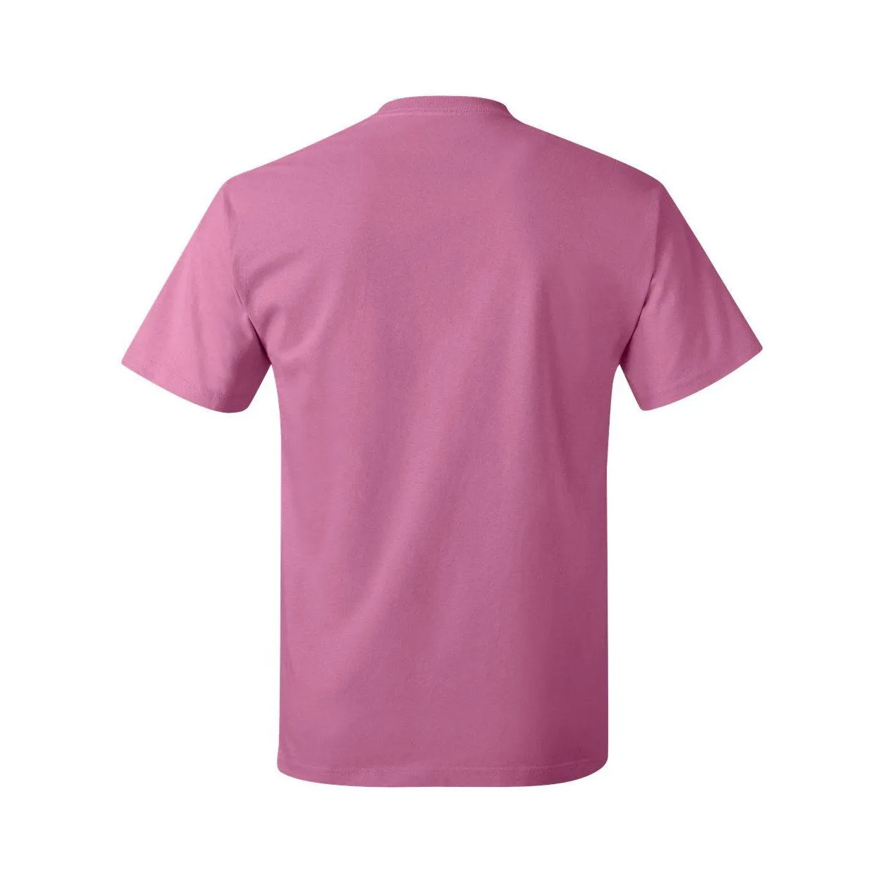 Hanes Authentic T-Shirt