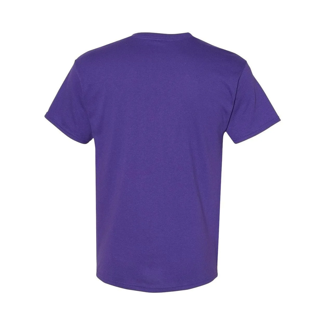 Hanes Ecosmart T-Shirt