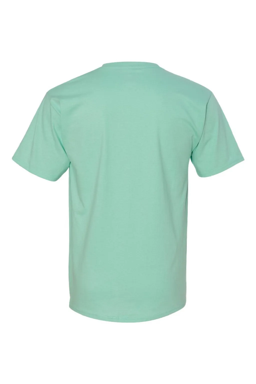 Hanes Mens ComfortSoft Short Sleeve Crewneck T-Shirt - Clean Mint Green  Best cheap Clothing Hanes