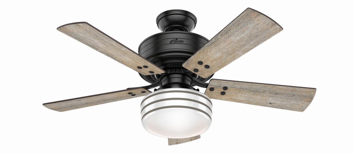 Hunter 44"Ceiling Fan outdoor fans store with multiple collections
