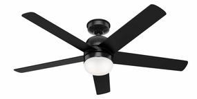 Hunter Fan Anorak 52" Indoor/Outdoor Ceiling Fan with 18W LED and Wall Control outdoor fans store with multiple collections