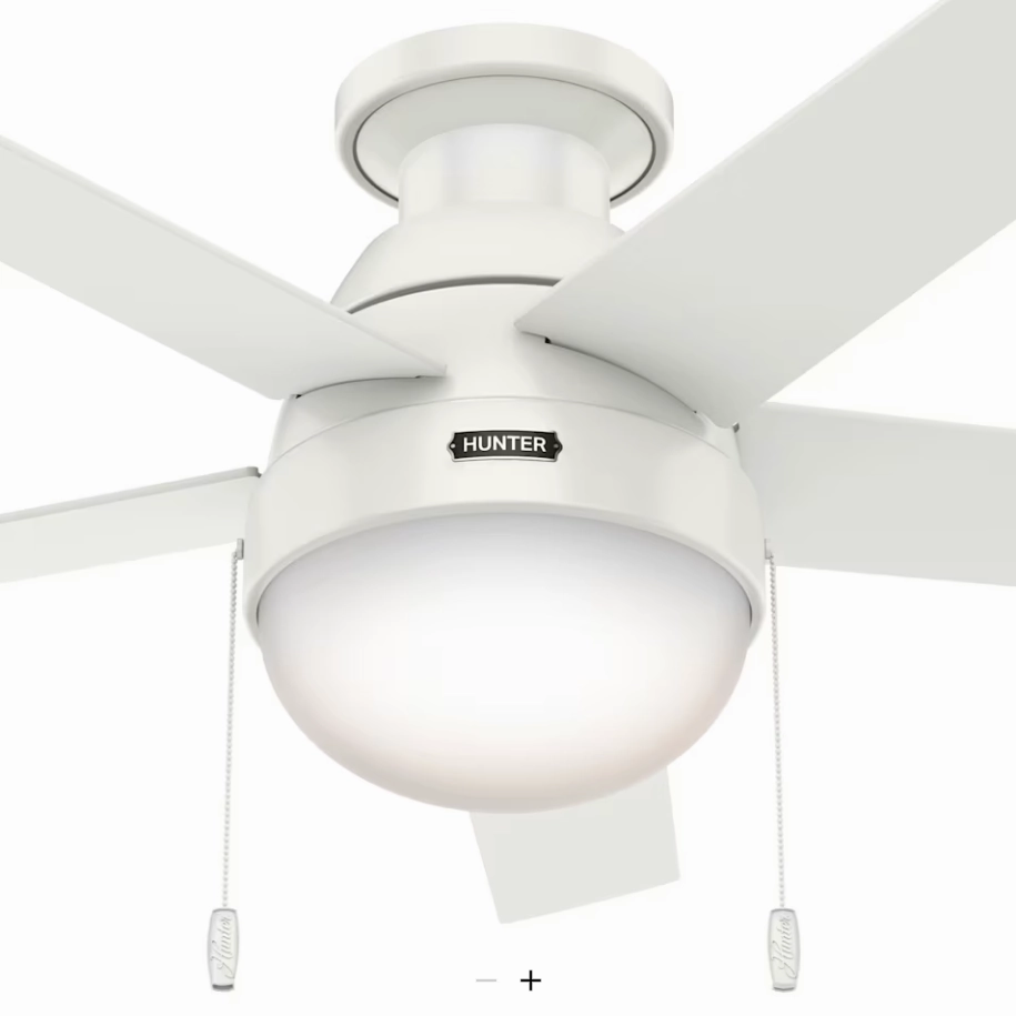 Hunter Fan Anslee 46" Flushmount Pull Chain Ceiling Fan with 18W LED