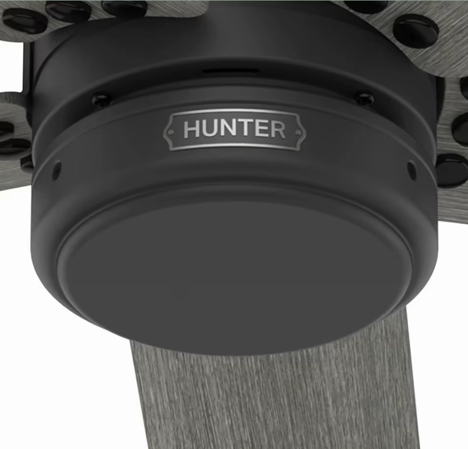 Hunter Fan Burton 52" Outdoor Ceiling Fan with Wall Control