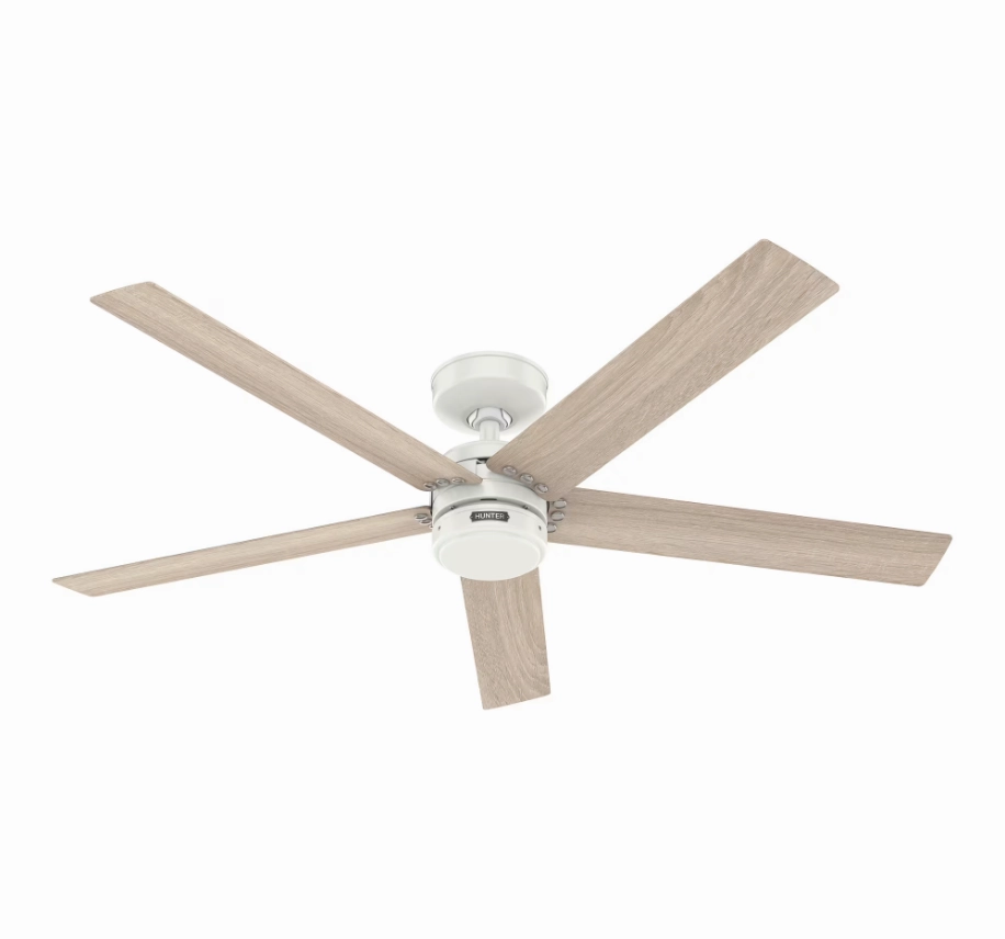 Hunter Fan Burton 52" Outdoor Ceiling Fan with Wall Control
