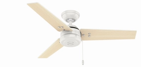 Hunter Fan Cassius Indoor/Outdoor Pull Chain Ceiling Fan outdoor fans store with multiple collections
