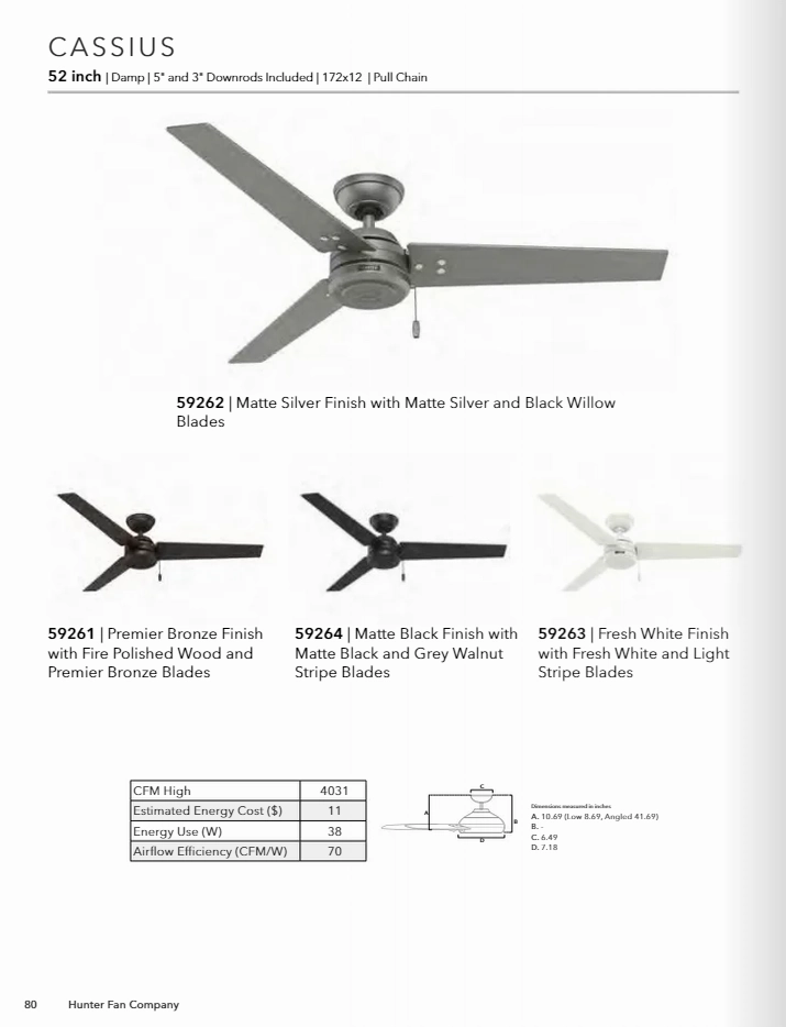 Hunter Fan Cassius Indoor/Outdoor Pull Chain Ceiling Fan