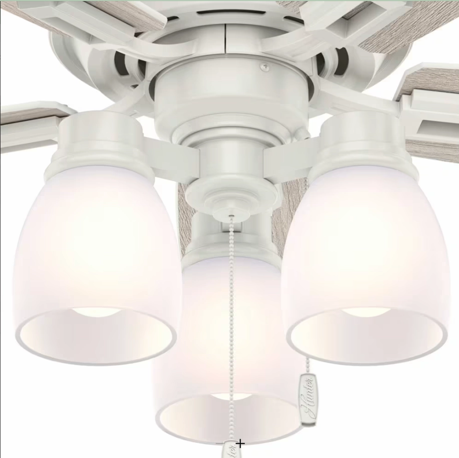 Hunter Fan Donegan Indoor Pull Chain Ceiling Fan with 27W LED