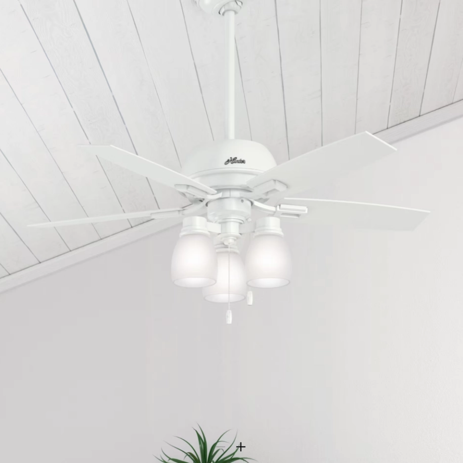 Hunter Fan Donegan Indoor Pull Chain Ceiling Fan with 27W LED