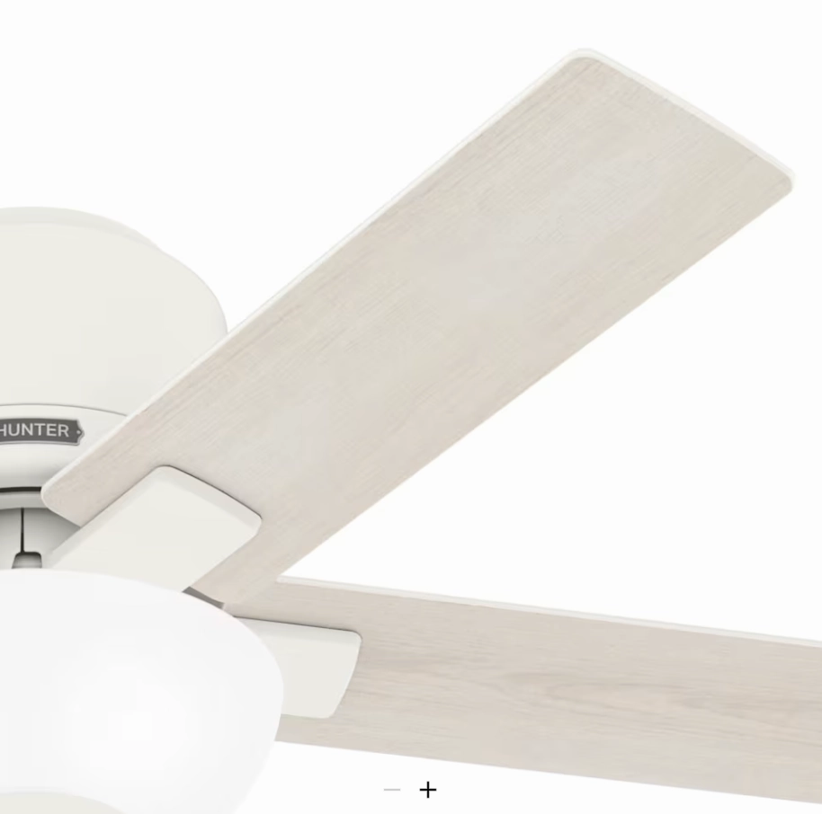 Hunter Fan Fitzgerald 44" Flushmount Pull Chain Ceiling Fan with 20W LED