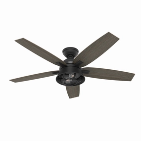 Hunter Fan Hampshire 52" Ceiling Fan with 9W LED and Remote outdoor fans store with multiple collections