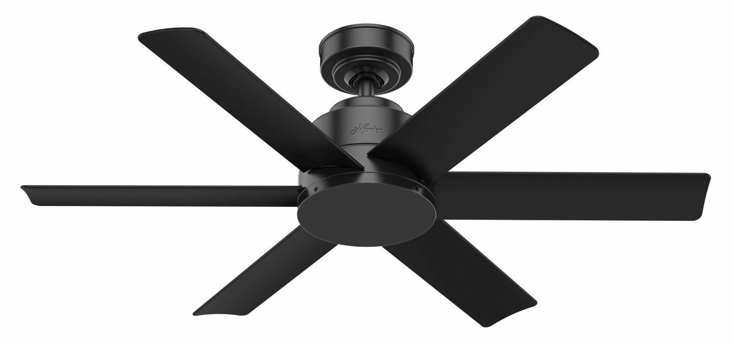 Hunter Fan Kennicott Indoor/Outdoor Ceiling Fan with Wall Control
