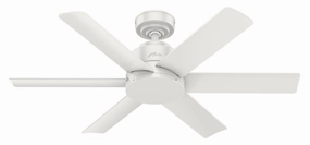 Hunter Fan Kennicott Indoor/Outdoor Ceiling Fan with Wall Control low-noise indoor fans for peaceful settings