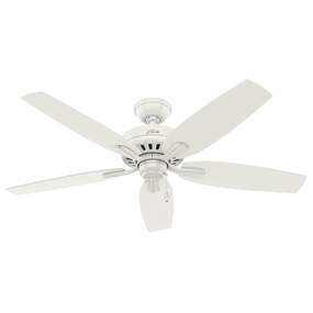 Hunter Fan Newsome 52" Indoor/Outdoor Pull Chain Ceiling Fan low-noise indoor fans for peaceful settings
