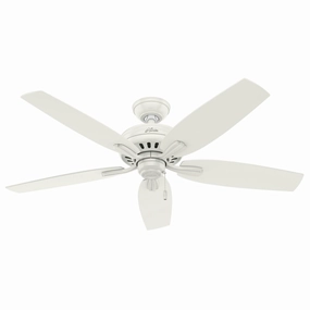 Hunter Fan Newsome 52" Indoor/Outdoor Pull Chain Ceiling Fan outdoor fans store with multiple collections