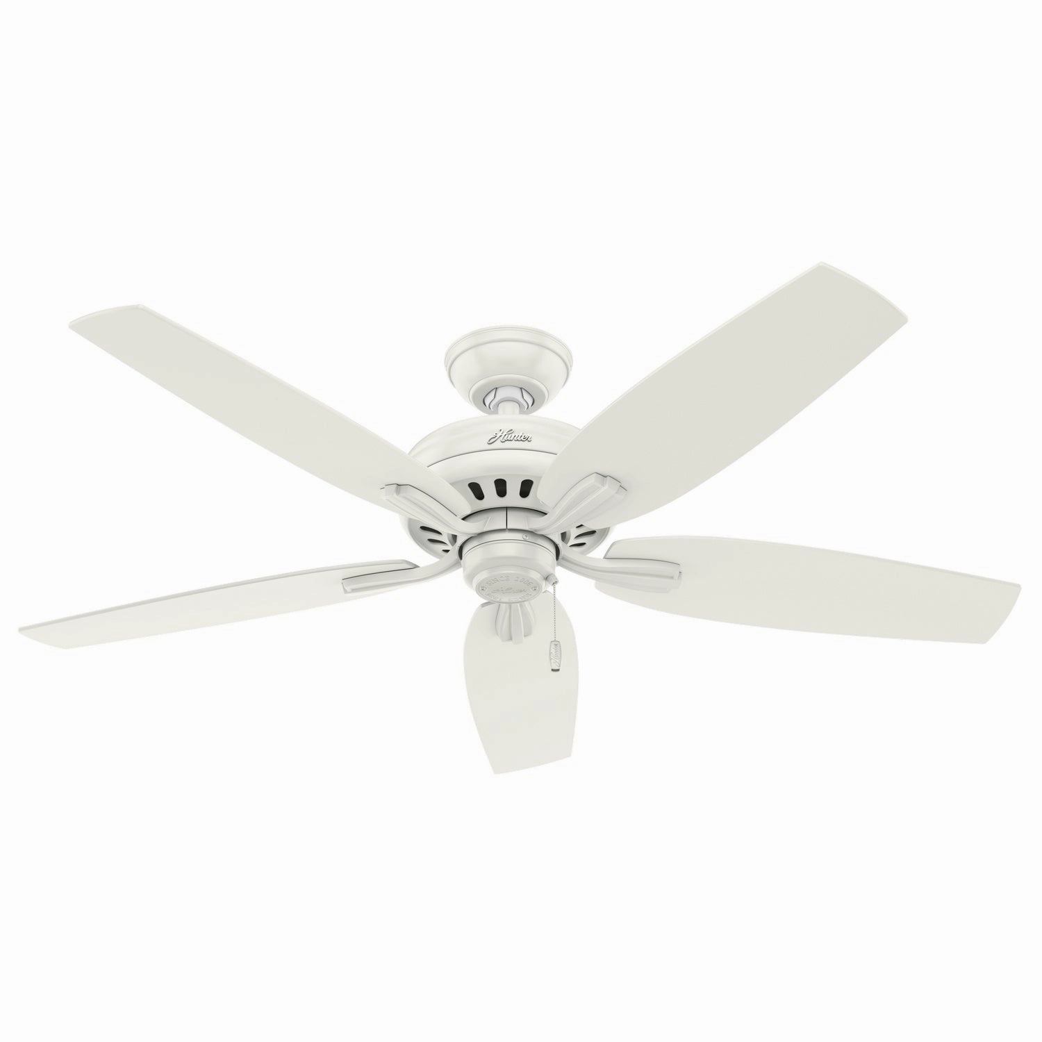 Hunter Fan Newsome 52" Indoor/Outdoor Pull Chain Ceiling Fan low-noise indoor fans for peaceful settings
