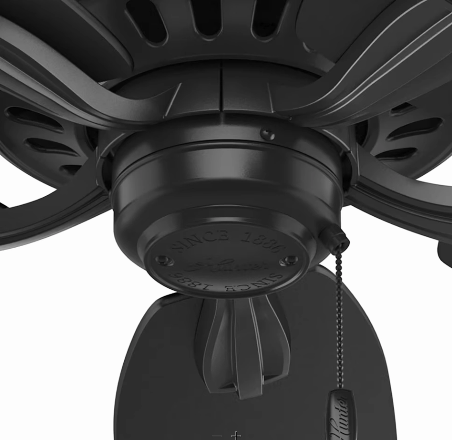 Hunter Fan Newsome 52" Indoor/Outdoor Pull Chain Ceiling Fan