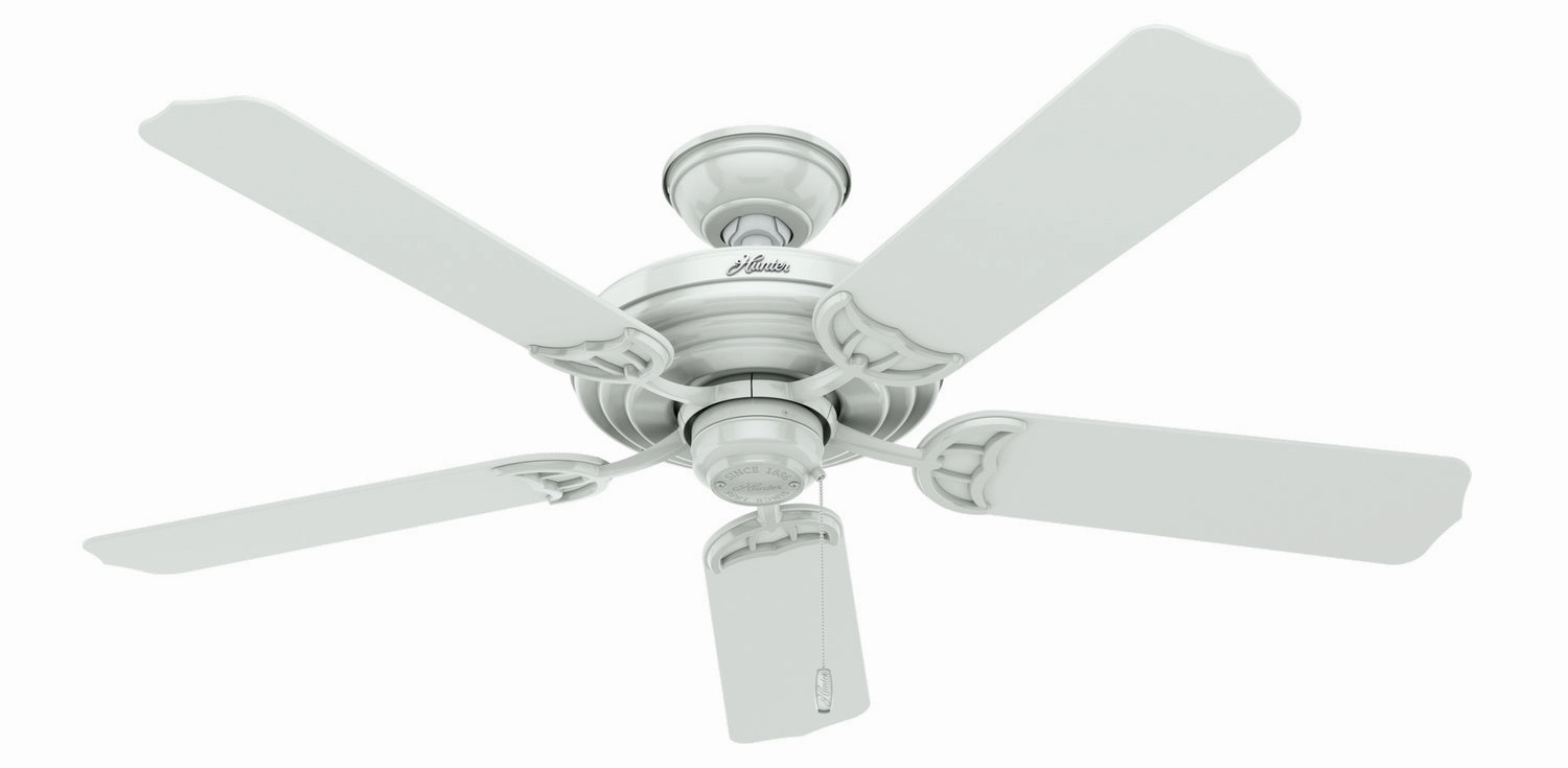 Hunter Fan Sea Air 52" Outdoor Pull Chain Ceiling Fan