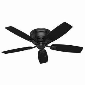 Hunter Fan Sea Wind 48" Outdoor Flushmount Pull Chain Ceiling Fan low-profile ceiling fans with lights