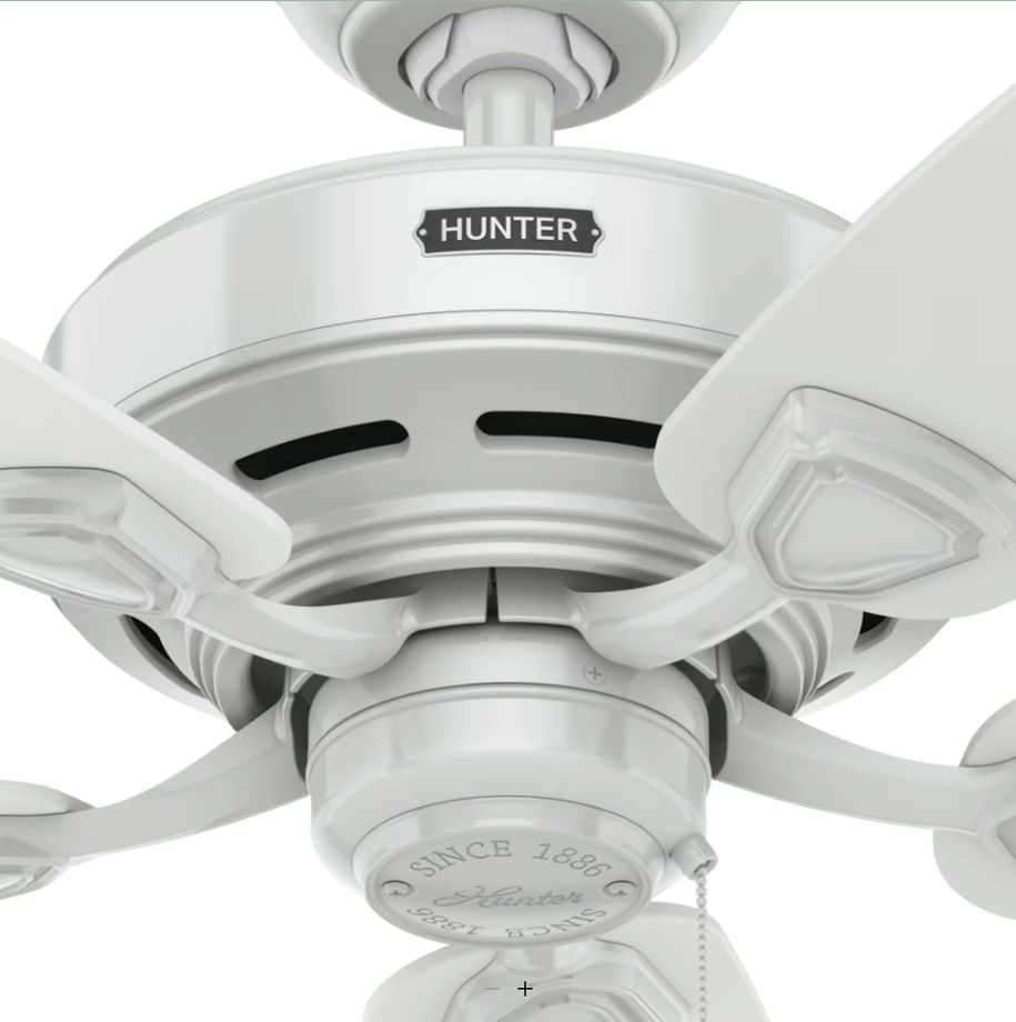 Hunter Fan Sea Wind 48" Outdoor Pull Chain Ceiling Fan
