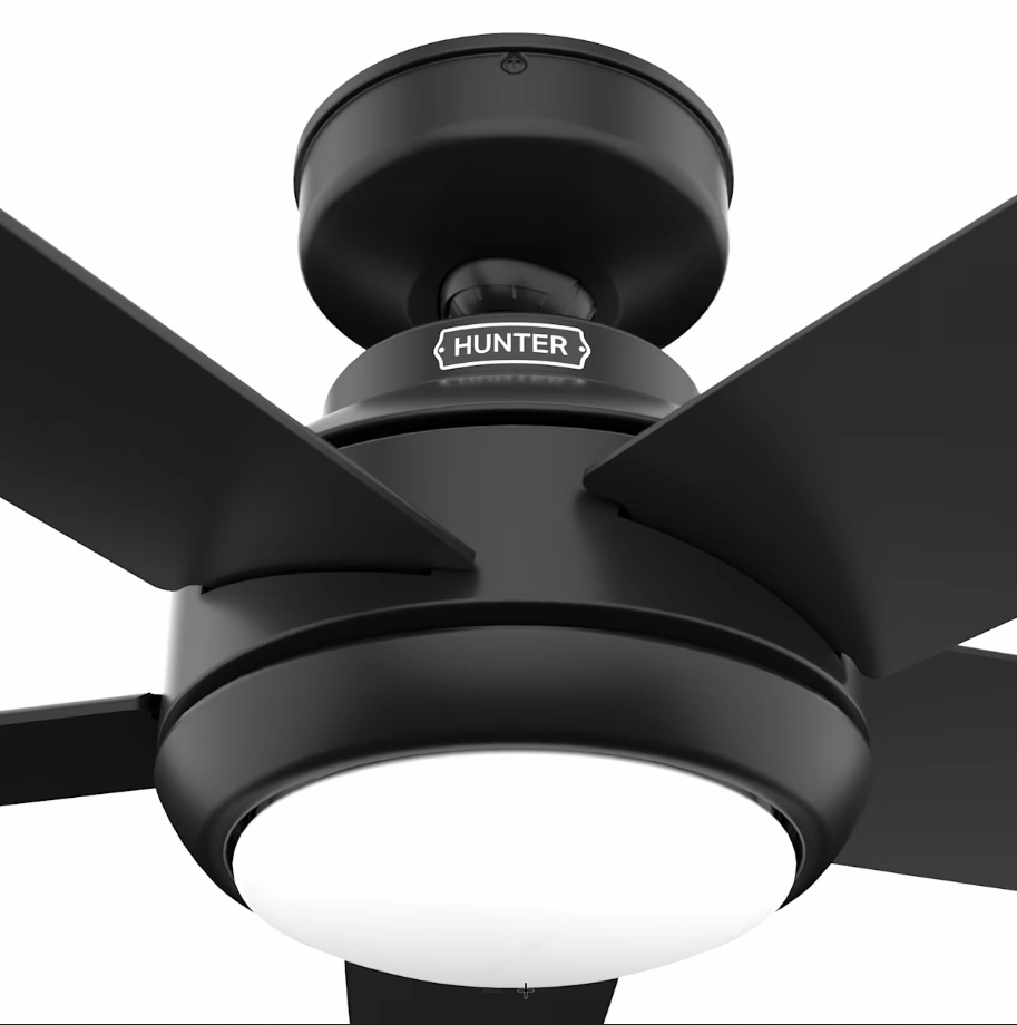 Hunter Fan Zayden 52" Indoor Ceiling Fan with LED and Remote