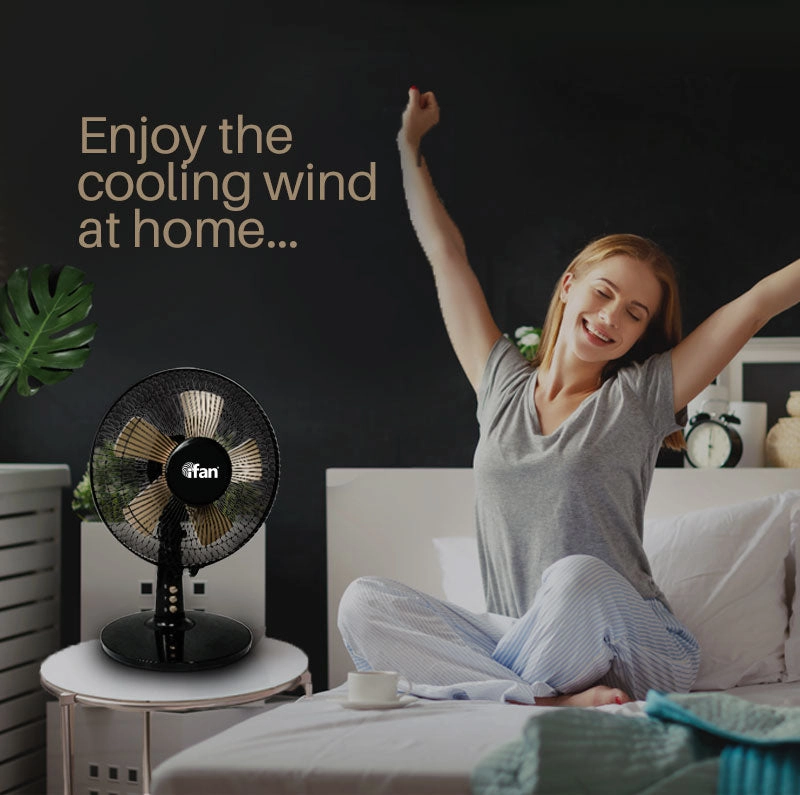 iFan 9 Desk Fan  5 Blades, Turbo Fan, Vortex Airflow, Oscillation, Adjustable Height, Energy-saving, 2-Speed, black, IF404