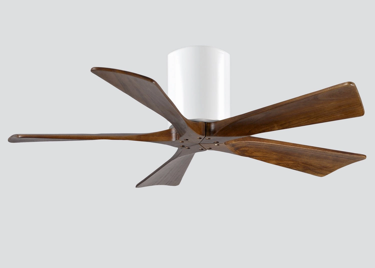 Irene-5H 42"Ceiling Fan Gloss White