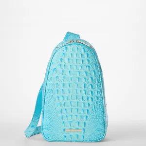 Jordan Bags Brahmin Travel Bags