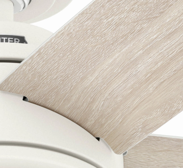 Margo 44"Ceiling Fan Textured White