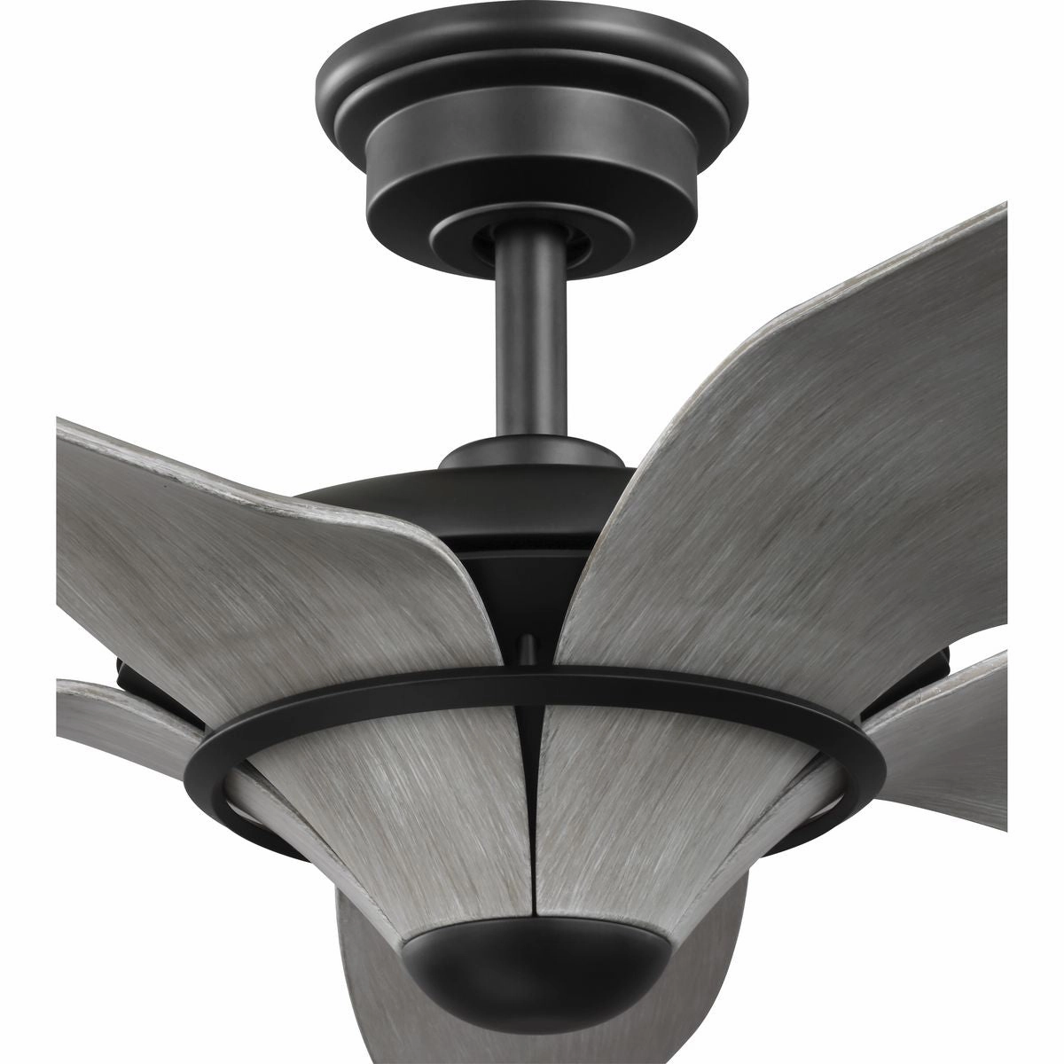 Mesilla 60" Ceiling Fan Flat Black