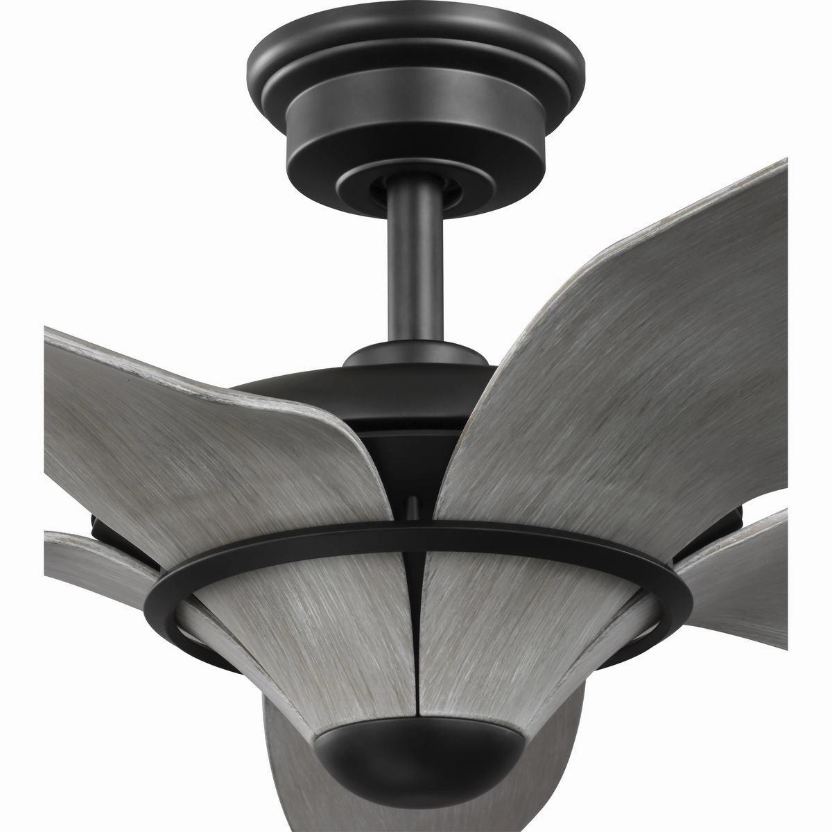 Mesilla 60" Ceiling Fan Flat Black