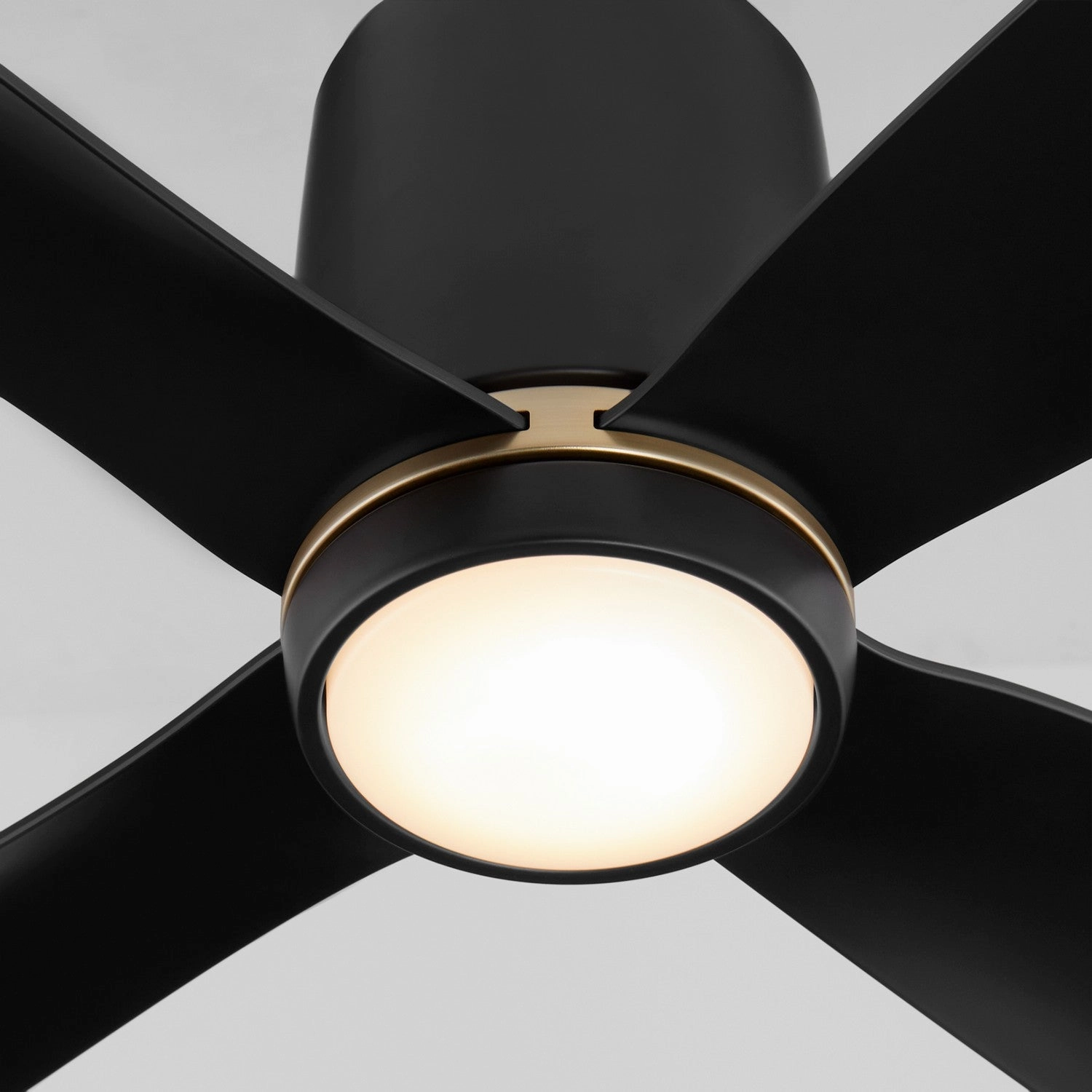 Myriad 56"Ceiling Fan Black