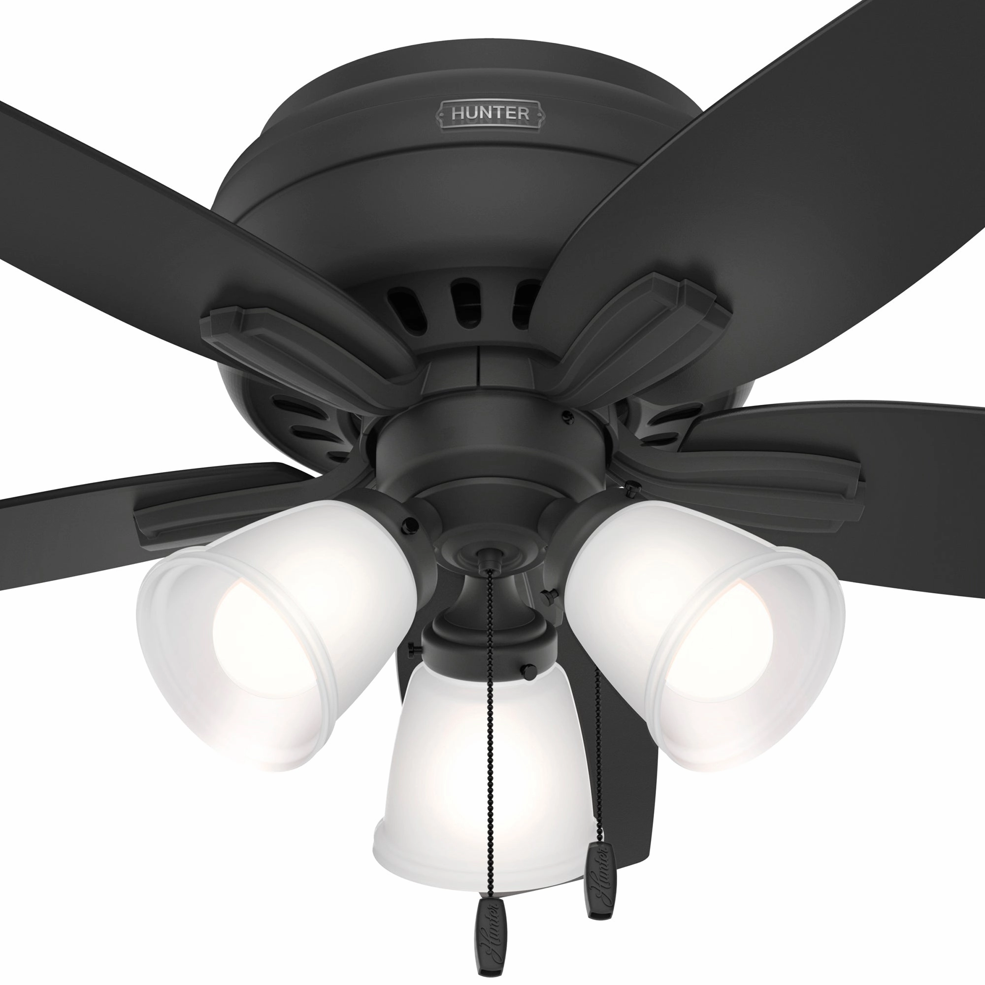Newsome 42"Ceiling Fan Matte Black