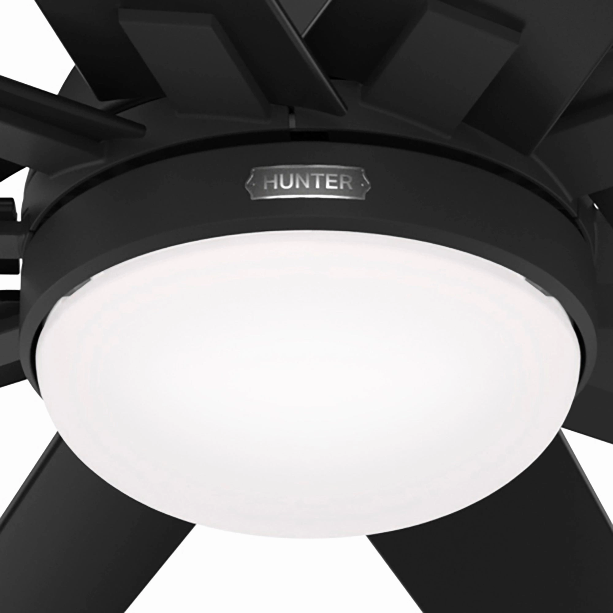 Overton 60"Ceiling Fan Matte Black