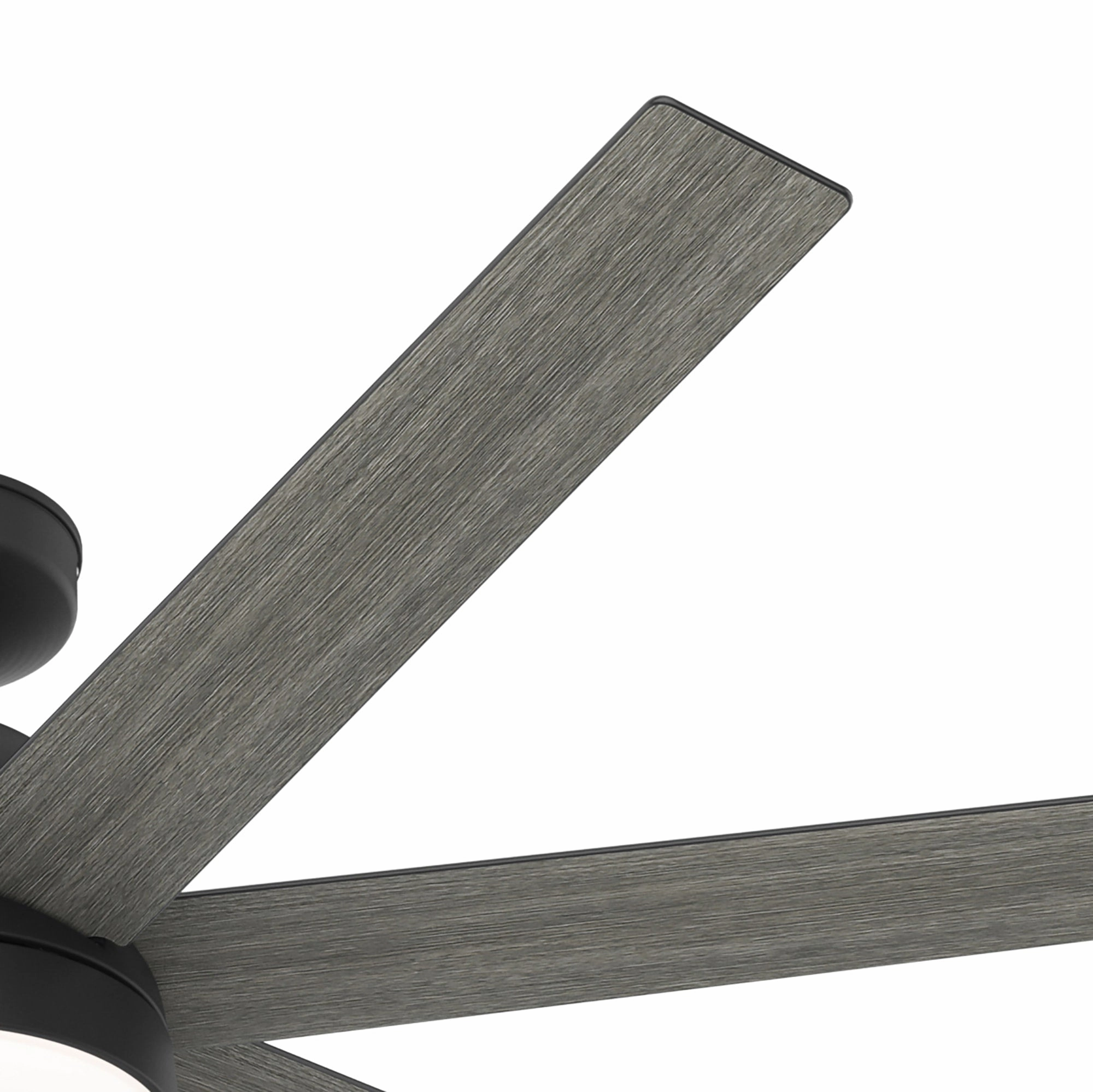 Phenomenon 60"Ceiling Fan Matte Black