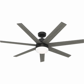 Phenomenon 60"Ceiling Fan Matte Black quiet medium fans for living room use