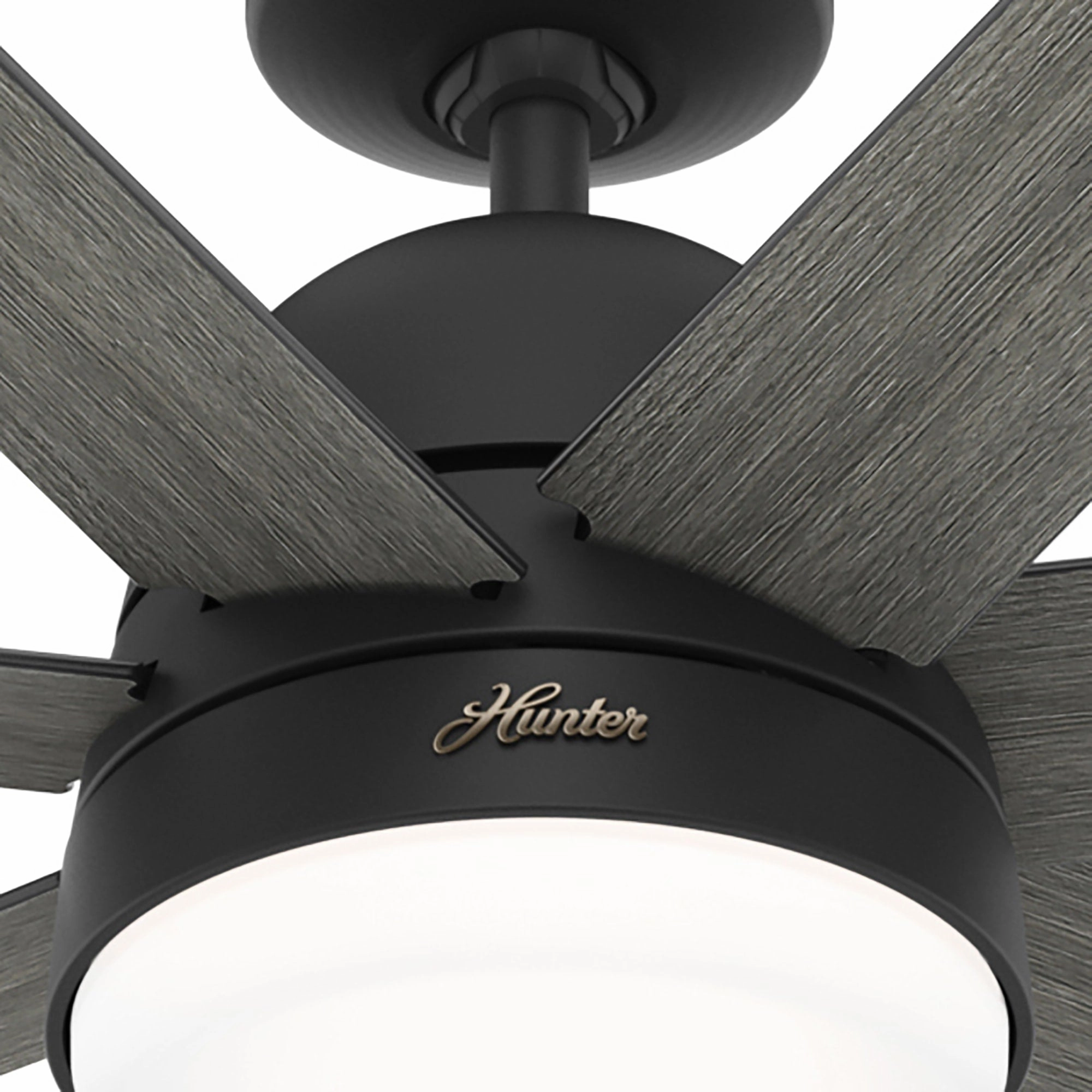 Phenomenon 60"Ceiling Fan Matte Black