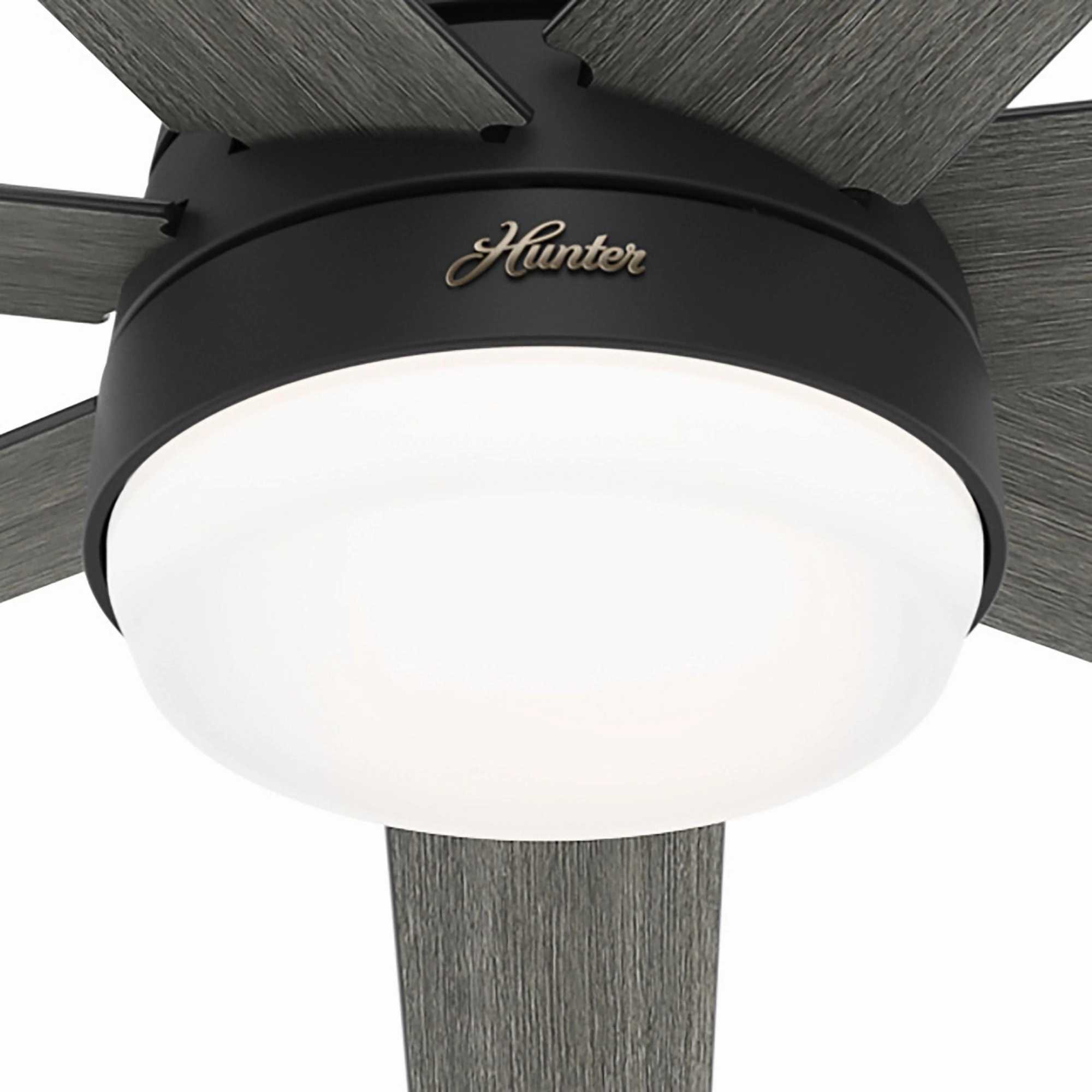 Phenomenon 60"Ceiling Fan Matte Black
