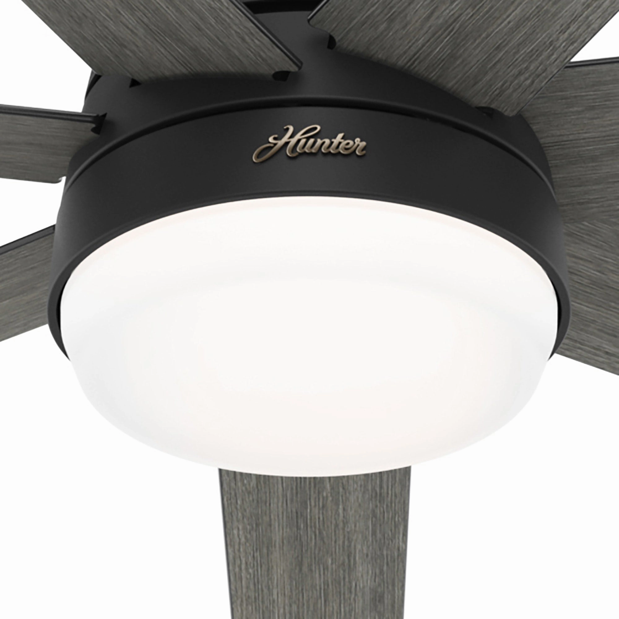 Phenomenon 70"Ceiling Fan Matte Black