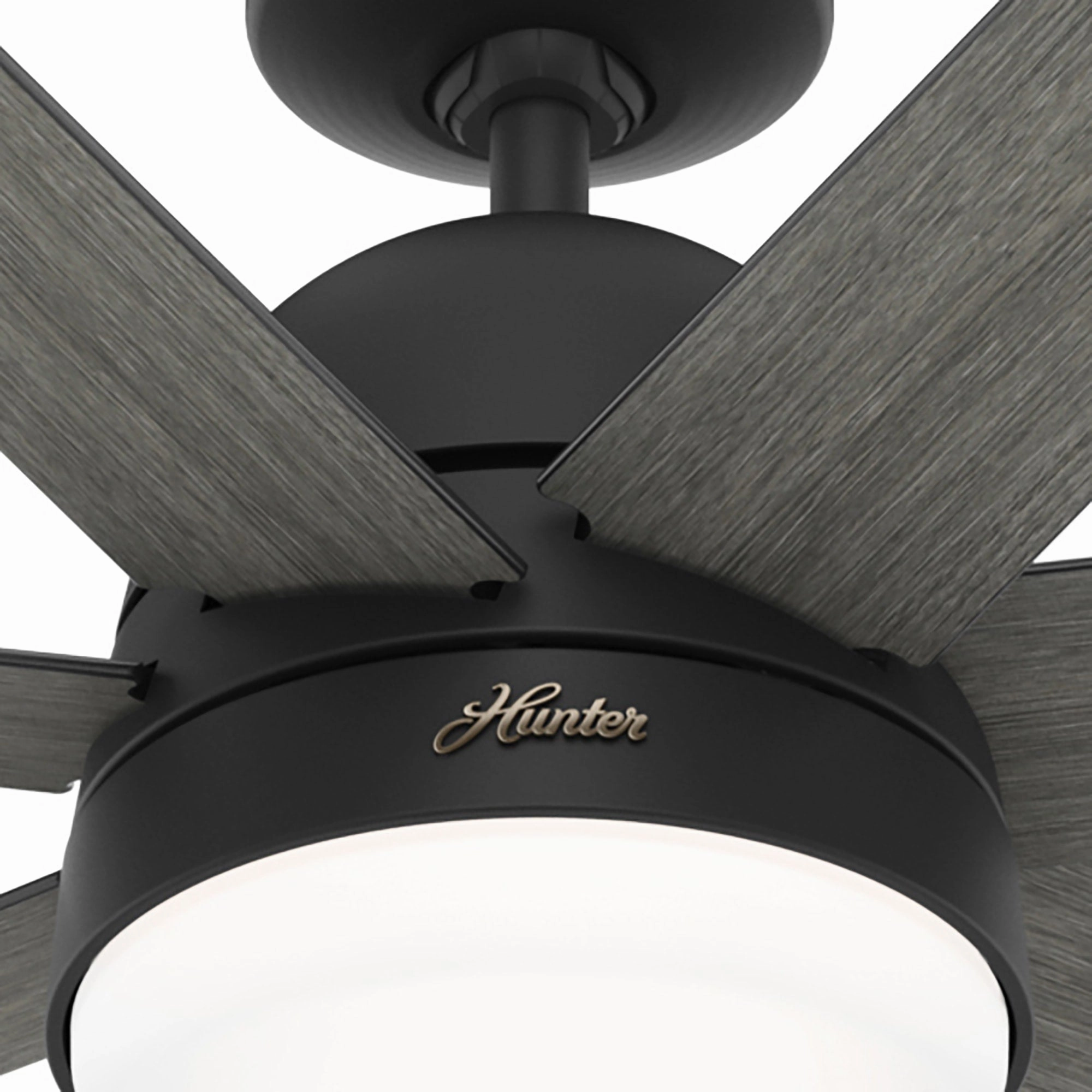 Phenomenon 70"Ceiling Fan Matte Black