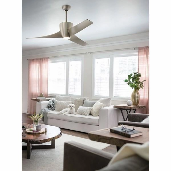 Phree Outdoor Fan