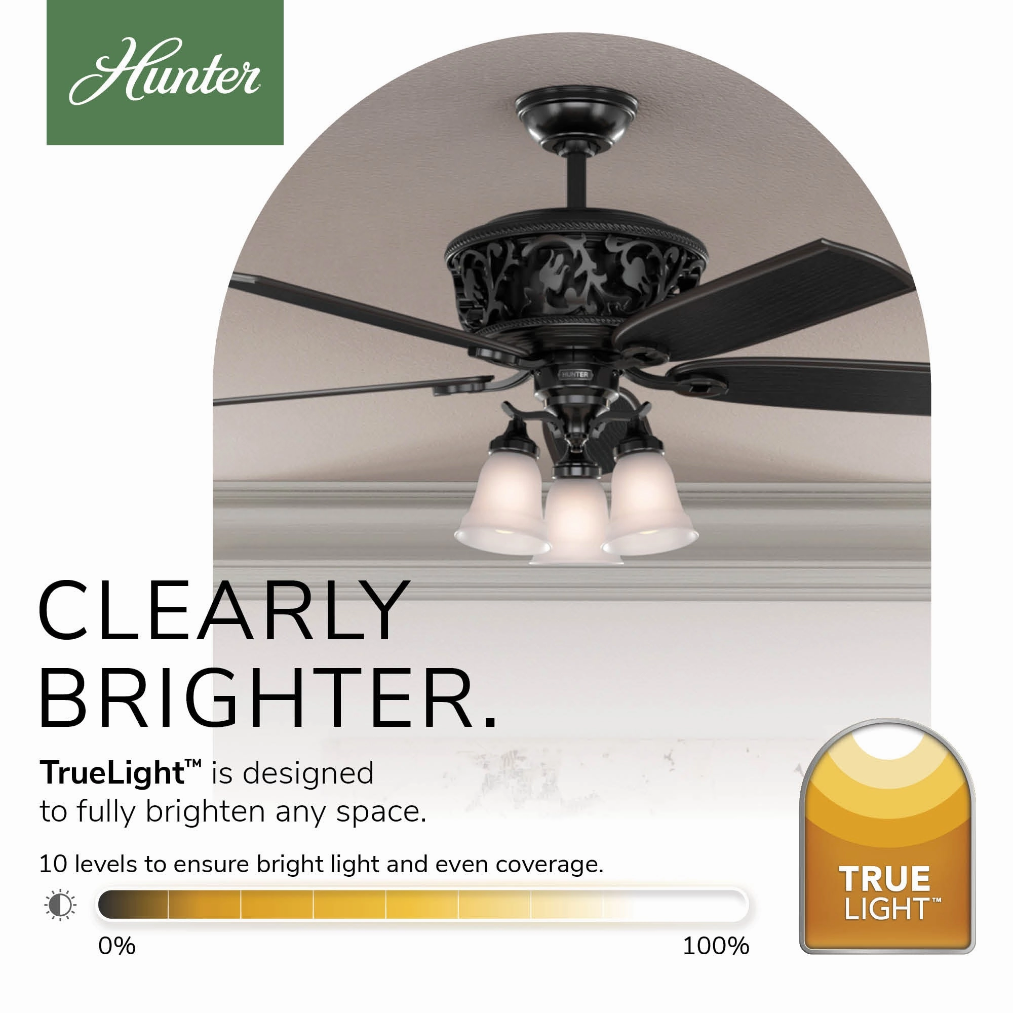Promenade 54"Ceiling Fan Gloss Black