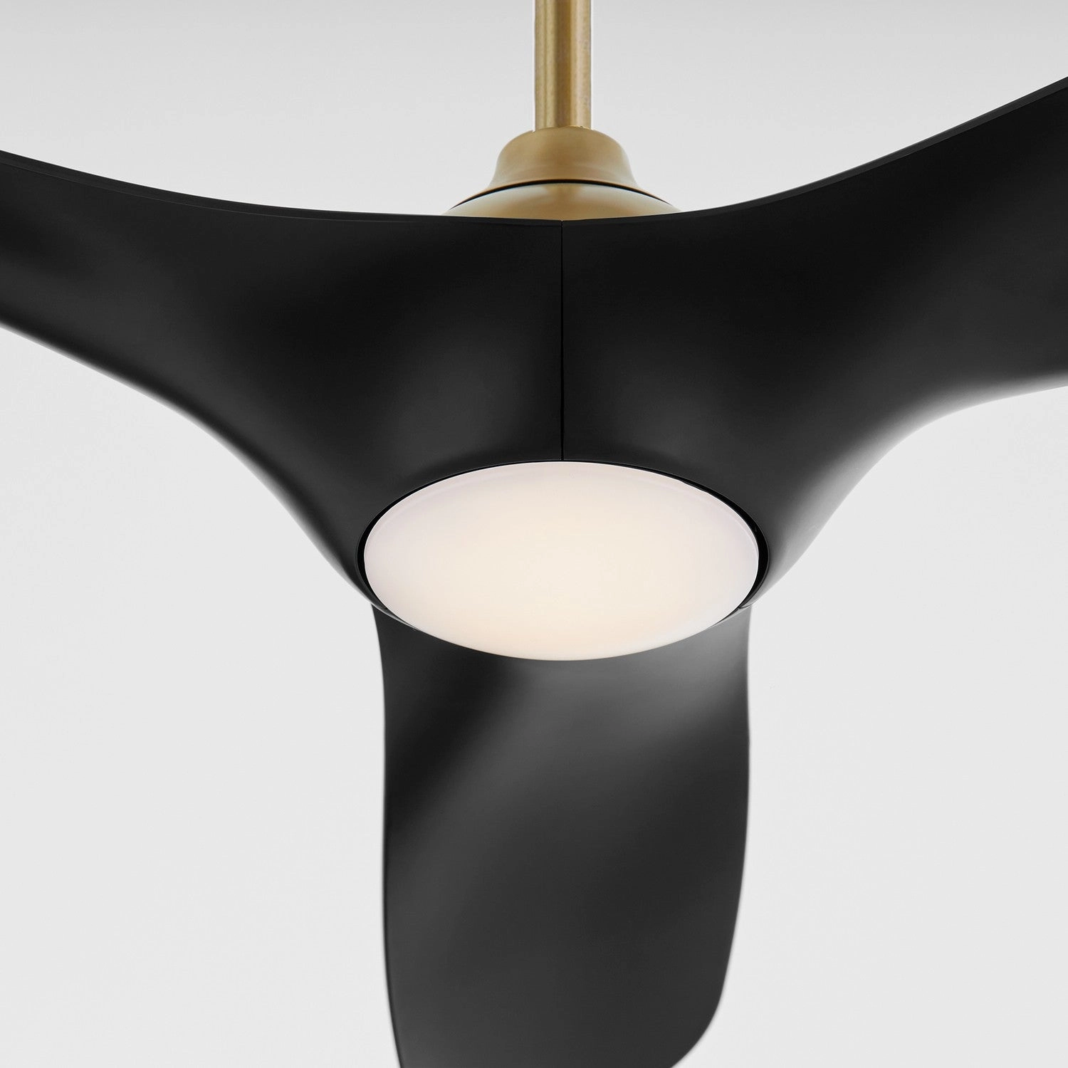 Province 56" Ceiling Fan Aged Brass / Black