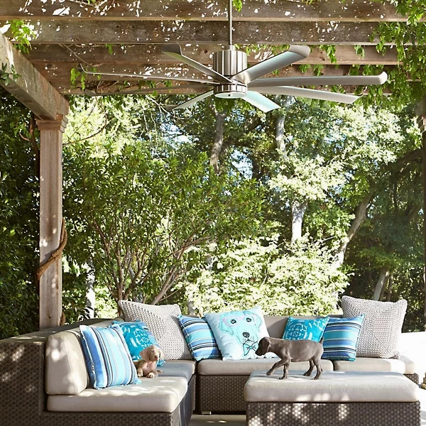 Quorum Fan Proxima Outdoor DC Patio Ceiling Fan with Wall Control-Discontinued