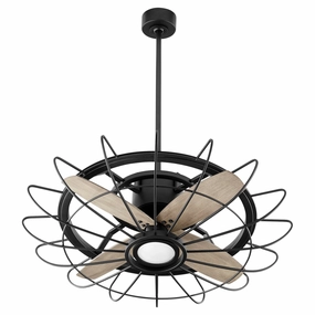Quorum Mira 30" Indoor/Outdoor 18W LED DC Ceiling Fan with Wall Control outdoor fans store with multiple collections